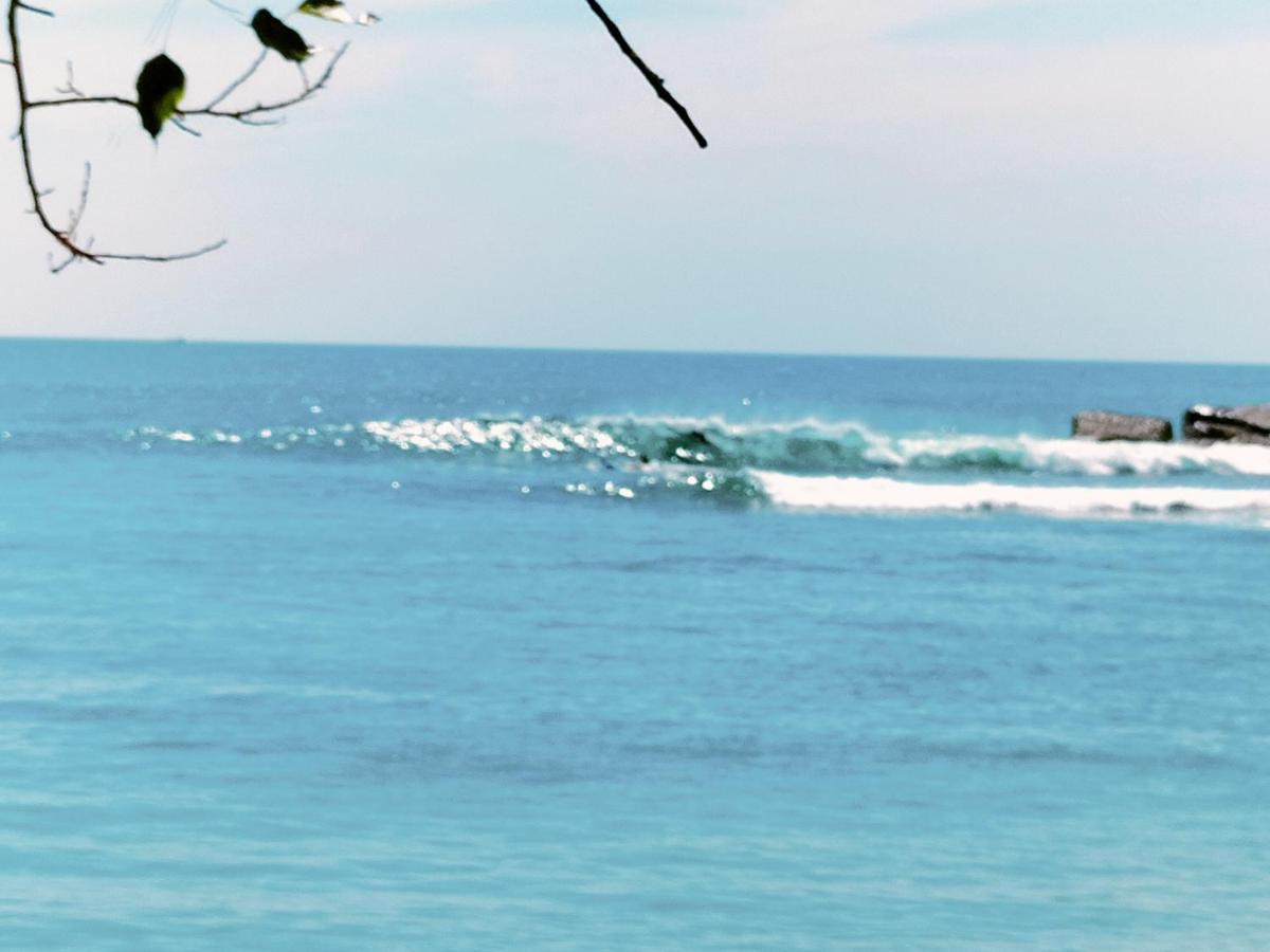 Отель Secret Swell Тангалла Экстерьер фото